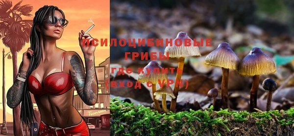 винт Абинск
