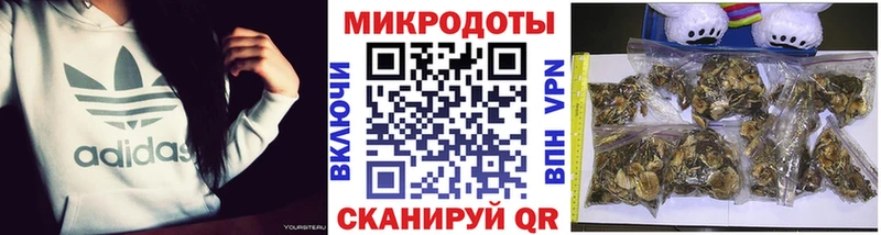 Галлюциногенные грибы прущие грибы  Советский 