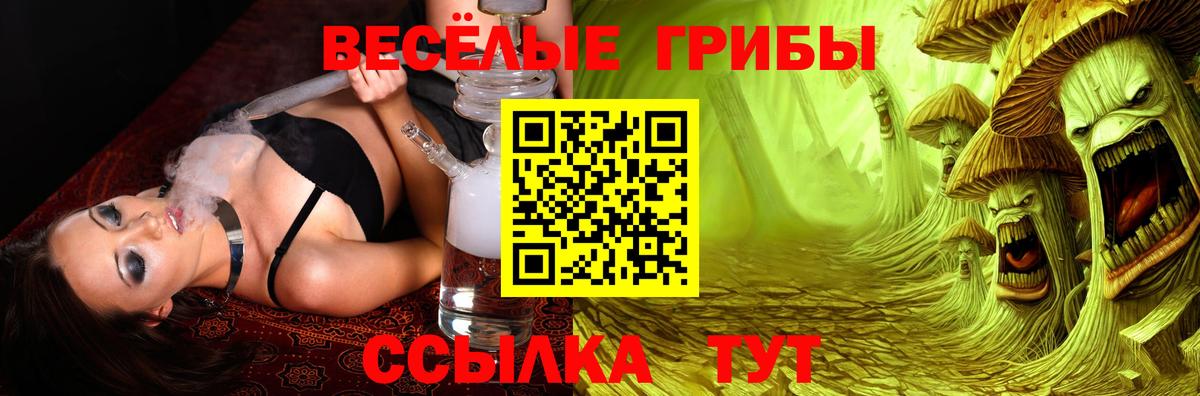 Советский  Псилоцибиновые грибы Psilocybine cubensis  Вход с VPN 